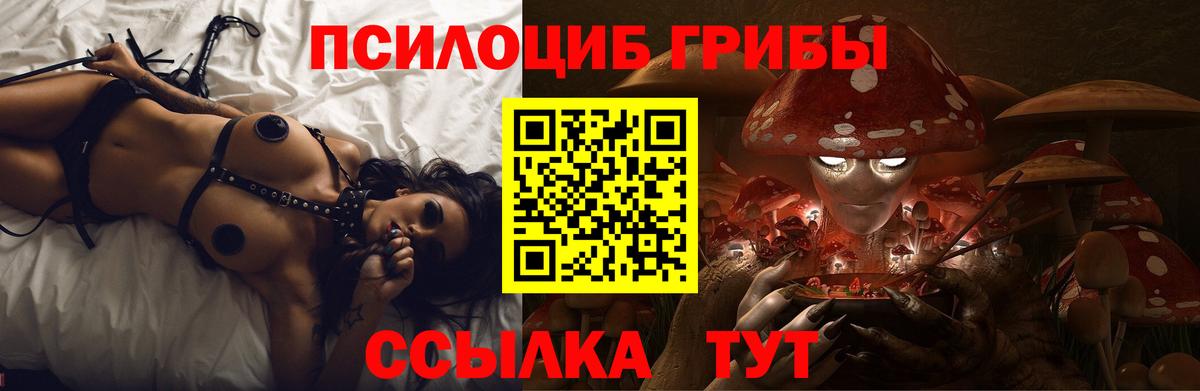 Псилоцибиновые грибы MAGIC MUSHROOMS Урюпинск